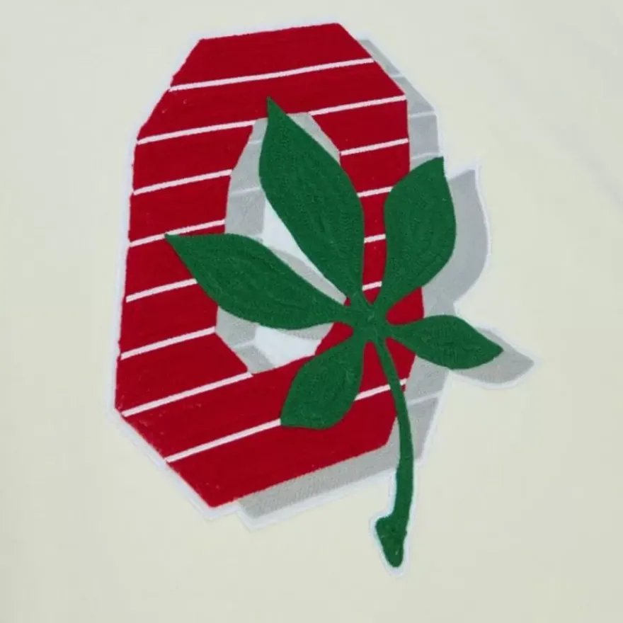 Mitchell & Ness Hoodies & Sweatshirts-Chainstitch Heavyweight Hoodie Current Ohio State