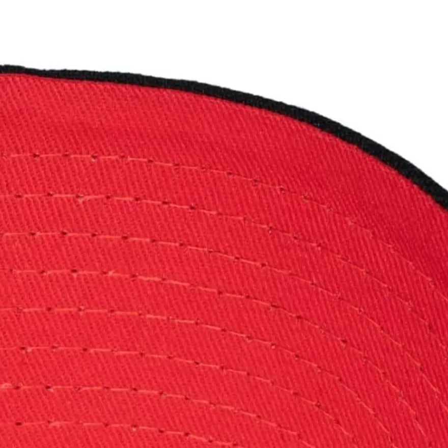 Mitchell & Ness Snapback-Champ Wrap Pro Snapback Toronto Raptors