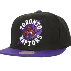 Mitchell & Ness Snapback-Circle Splash Snapback Hwc Toronto Raptors