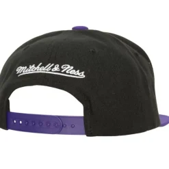 Mitchell & Ness Snapback-Circle Splash Snapback Hwc Toronto Raptors
