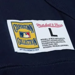 Mitchell & Ness Hoodies & Sweatshirts-City Collection Fleece Hoody New York Yankees