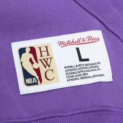 Mitchell & Ness Hoodies & Sweatshirts-City Collection Fleece Hoody Toronto Raptors