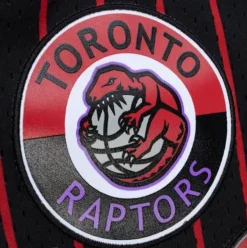 Mitchell & Ness Shorts-City Collection Mesh Shorts Toronto Raptors