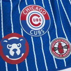 Mitchell & Ness Shorts-City Collection Mesh Shorts Chicago Cubs