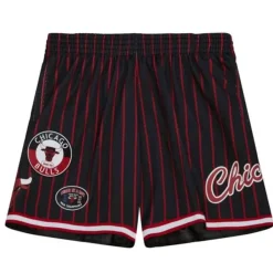 Mitchell & Ness Shorts-City Collection Mesh Shorts Chicago Bulls