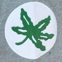 Mitchell & Ness T-Shirts & Tops-City Collection Ss Tee Ohio State