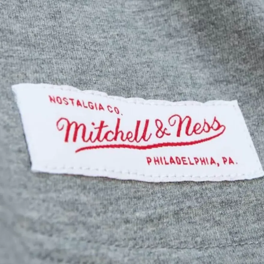 Mitchell & Ness T-Shirts & Tops-City Collection Ss Tee St. Louis Blues