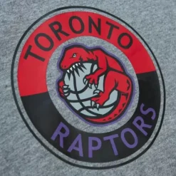 Mitchell & Ness T-Shirts & Tops-City Collection S/S Tee Toronto Raptors