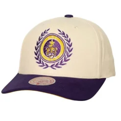 Mitchell & Ness Snapback-Collegiate Pro Snapback V Louisiana State University