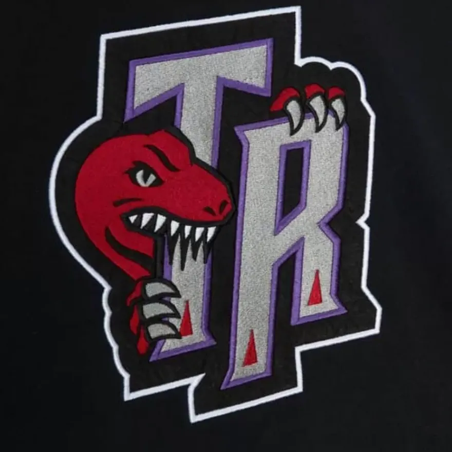 Mitchell & Ness Hoodies & Sweatshirts-Color Blocked Fleece 2.0 Toronto Raptors