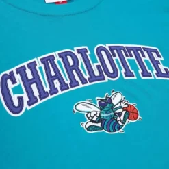 Mitchell & Ness T-Shirts & Tops-Color Blocked Ss Tee Charlotte Hornets