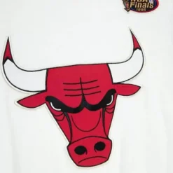 Mitchell & Ness T-Shirts & Tops-Color Blocked S/S Tee Chicago Bulls