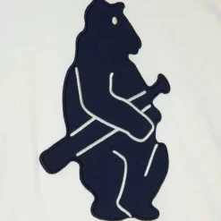 Mitchell & Ness T-Shirts & Tops-Color Blocked S/S Tee Chicago Cubs