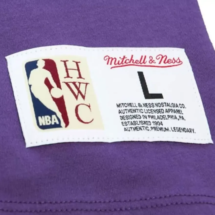 Mitchell & Ness T-Shirts & Tops-Color Blocked Ss Tee Los Angeles Lakers