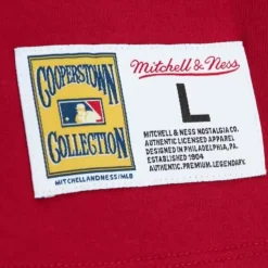 Mitchell & Ness T-Shirts & Tops-Color Blocked Ss Tee Texas Rangers