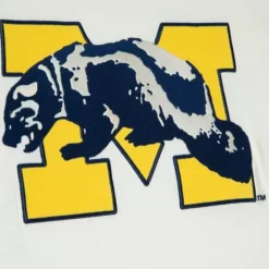 Mitchell & Ness T-Shirts & Tops-Color Blocked S/S Tee University Of Michigan