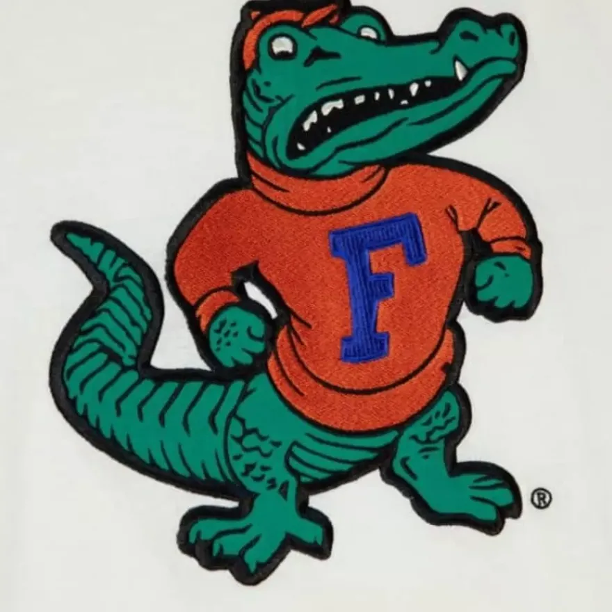Mitchell & Ness T-Shirts & Tops-Color Blocked S/S Tee University Of Florida