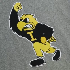 Mitchell & Ness T-Shirts & Tops-Color Blocked S/S Tee University Of Iowa