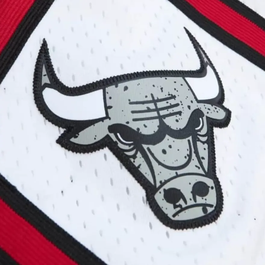 Mitchell & Ness Shorts-Cracked Cement Swingman Shorts Chicago Bulls 1997-98