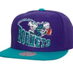Mitchell & Ness Snapback-Crooked Path Snapback Hwc Charlotte Hornets