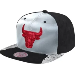 Mitchell & Ness Snapback-Day 5 Snapback Chicago Bulls