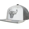 Mitchell & Ness Snapback-Day 5 Snapback Chicago Bulls