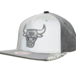 Mitchell & Ness Snapback-Day 5 Snapback Chicago Bulls