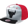 Mitchell & Ness Snapback-Day 5 Snapback Chicago Bulls