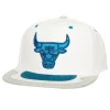 Mitchell & Ness Snapback-Day 4 Snapback Chicago Bulls