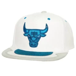 Mitchell & Ness Snapback-Day 4 Snapback Chicago Bulls