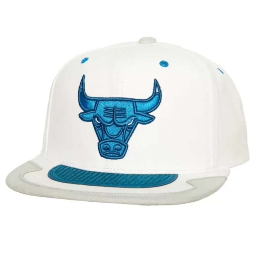 Mitchell & Ness Snapback-Day 4 Snapback Chicago Bulls