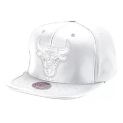 Mitchell & Ness Snapback-Day One Snapback Chicago Bulls