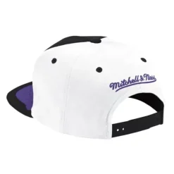 Mitchell & Ness Snapback-Day One Snapback Chicago Bulls