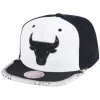 Mitchell & Ness Snapback-Day One Snapback Chicago Bulls