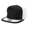 Mitchell & Ness Snapback-Day One Snapback Chicago Bulls