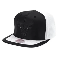 Mitchell & Ness Snapback-Day One Snapback Chicago Bulls