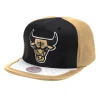 Mitchell & Ness Snapback-Day One Snapback Chicago Bulls