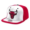 Mitchell & Ness Snapback-Day One Snapback Chicago Bulls
