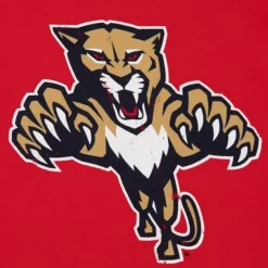 Mitchell & Ness T-Shirts & Tops-Distressed Logo Tee Florida Panthers