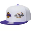 Mitchell & Ness Snapback-Dual Whammy Snapback Los Angeles Lakers