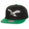 Mitchell & Ness Snapback-Eagle Snapback Philadelphia Eagles