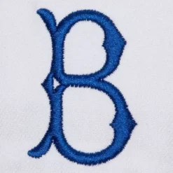 Mitchell & Ness Snapback-Evergreen Pro Snapback Coop Brooklyn Dodgers