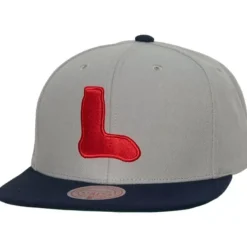Mitchell & Ness Snapback-Evergreen Snapback Coop Boston Red Sox