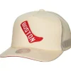Mitchell & Ness Snapback-Evergreen Trucker Snapback Coop Boston Red Sox
