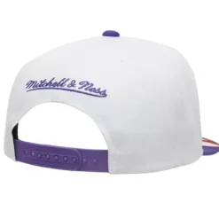Mitchell & Ness Snapback-Fast Times Snapback Hwc Toronto Raptors