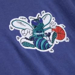 Mitchell & Ness T-Shirts & Tops-Final Seconds Ss Tee Charlotte Hornets