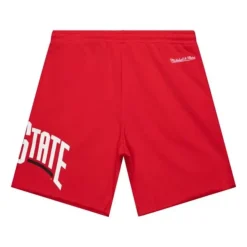 Mitchell & Ness Shorts-Game Day Ft Shorts Ohio State