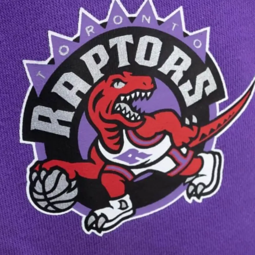 Mitchell & Ness Shorts-Game Day Ft Shorts Toronto Raptors