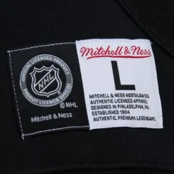 Mitchell & Ness Hoodies & Sweatshirts-Game Time Fleece Hoodie Current Logo Anaheim Ducks