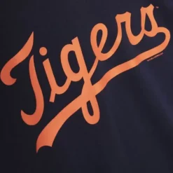 Mitchell & Ness T-Shirts & Tops-Gameday Ss Ft Hoodie Detroit Tigers